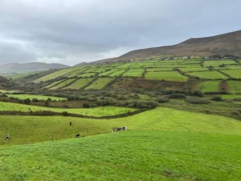 Rolling green hills in scenic countryside with dotted livestock.