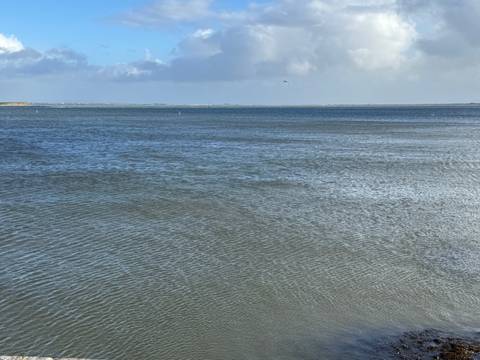 Calm ocean with a distant horizon and birds flying.