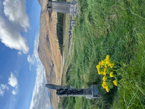 Vast landscape with mountains in the background and flowers in the foreground.