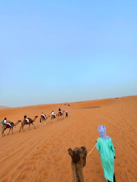 Camel caravan trekking through a vast desert landscape.