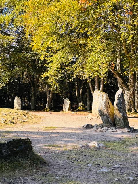 Ancient standing stones in a forest.