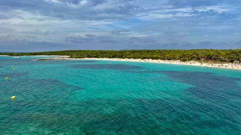 Clear turquoise waters at a beach with forest behind.