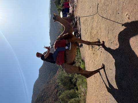       Man riding a camel, holding up peace sign, with mountain backdrop.
  