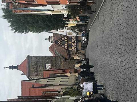 Street view with traditional houses and a clock tower.