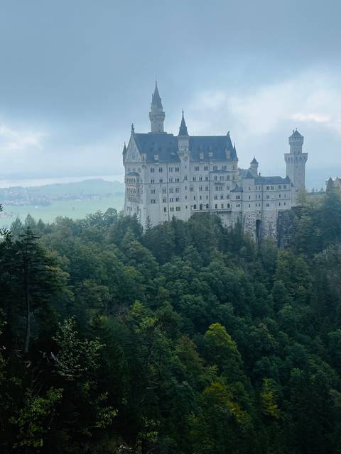       Neuschwanstein Castle on a hillside with forests.
  
