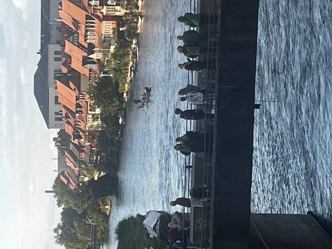       River view with people on a bridge and rowboats.
  