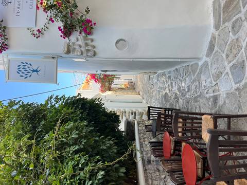 A narrow alley with flowers and a small seating area.