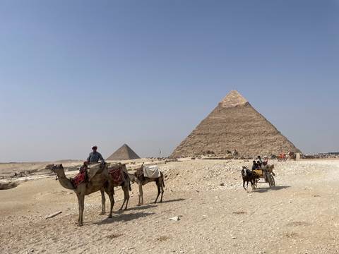       Camels with riders and pyramids in the background.
  