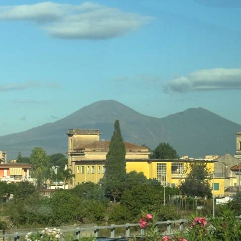       A view of a dormant volcano behind some rooftops and trees.
  