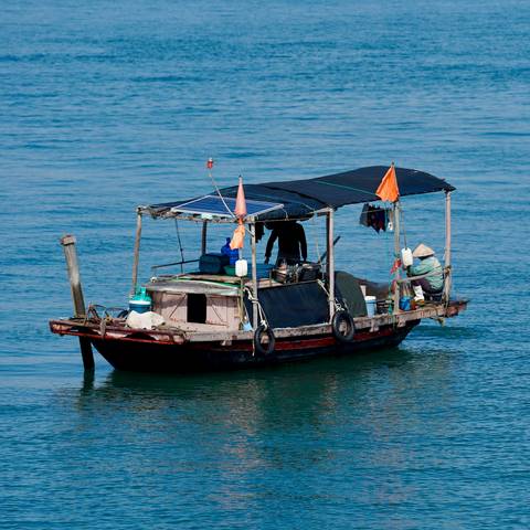 Small wooden boat with a canopy on a calm water body.