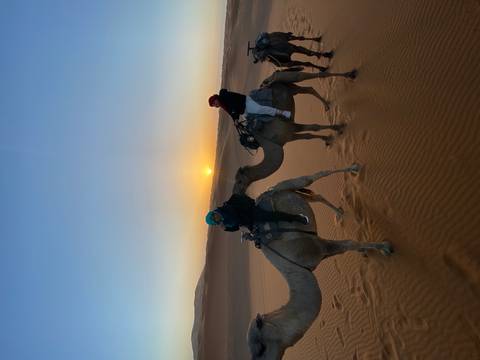 Tourists on camels in the desert during sunset.
