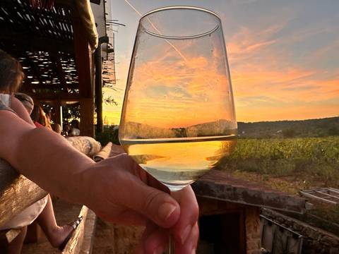 Hand holding a glass of wine with a sunset in the background.