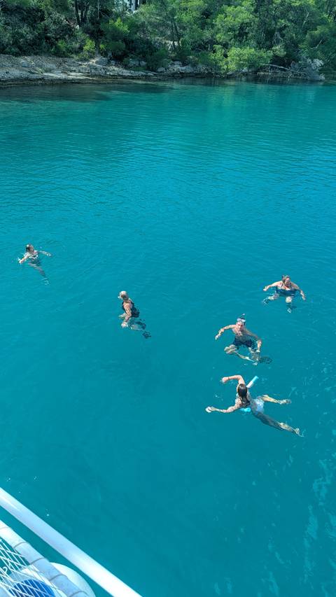 People swimming in clear blue sea.