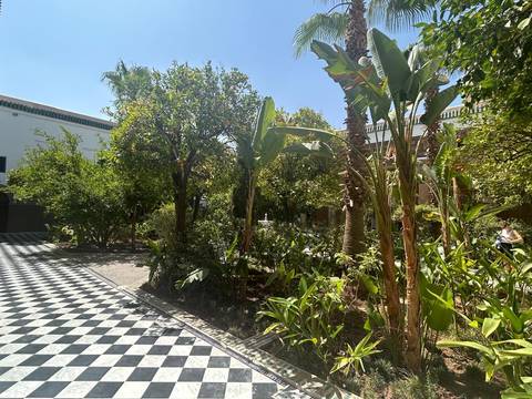 A lively garden with checkered pathways and various trees.