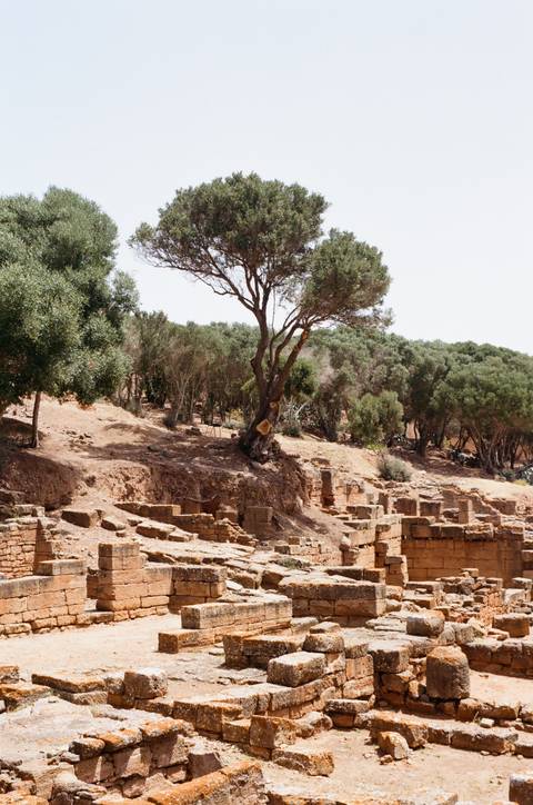       Ruins of an ancient site with trees in the background.
  