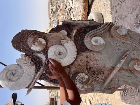 Hands holding a fossil embedded in a rock formation.