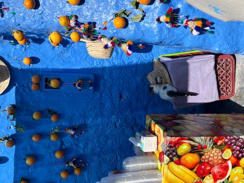 A colorful blue wall with oranges and a cat resting below.