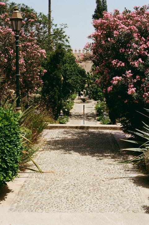 A garden path leading to a fountain surrounded by colorful plants.