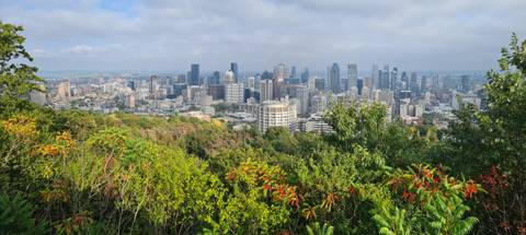 View of Montreal cityscape from a park with trees.