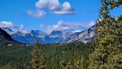 Mountain range with forested foreground.