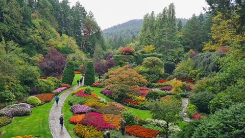 Vibrant garden with colorful flowers and pathways.