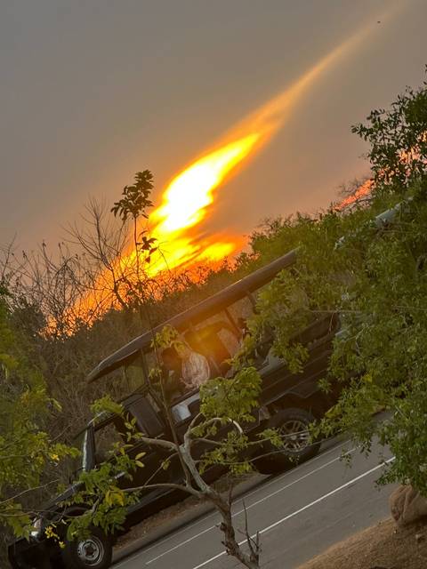 Safari vehicle with people watching a vibrant sunset with trees in silhouette.
