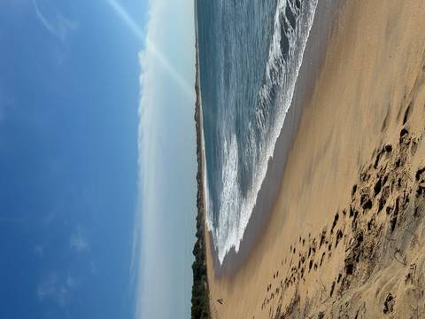 Empty sandy beach with gentle waves under a clear blue sky.