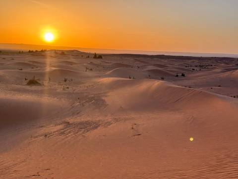       Desert landscape at sunset with sand dunes.
  