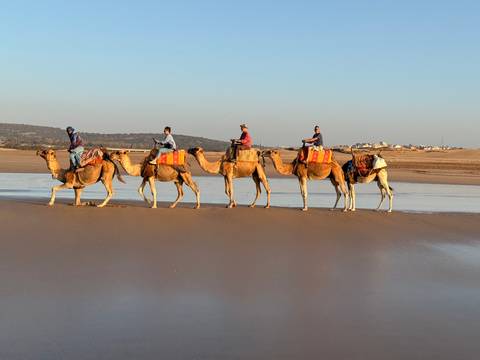       Group of people sitting around a campfire enjoying music at night.
  