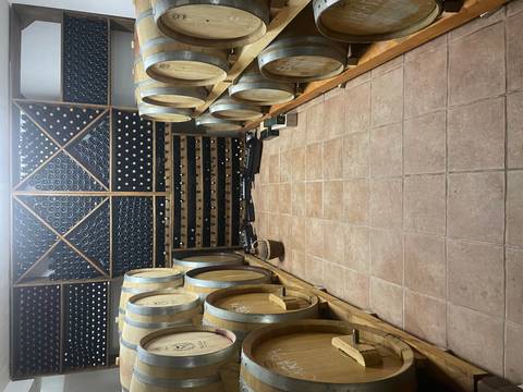       Room filled with wine barrels and racks of bottled wine.
  