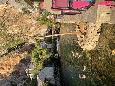       Cozy riverside scene with houses and ducks swimming in clear water.
  