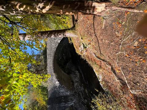       A stone bridge over a small river in a forest setting.
  