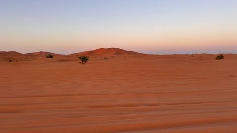 Desert landscape with sand dunes.