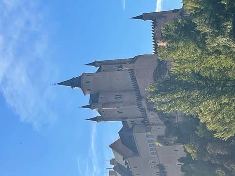 Medieval castle surrounded by trees.