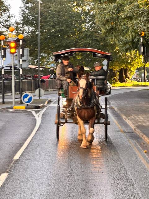       Horse-drawn carriage on a street.
  