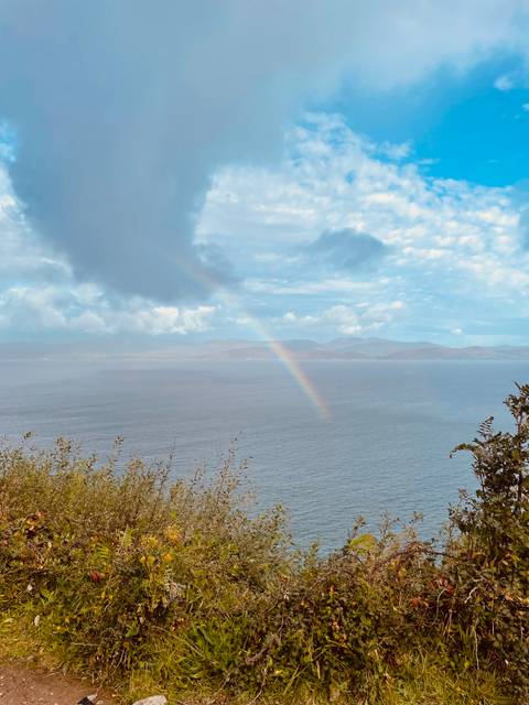       Landscape with a rainbow over the sea.
  