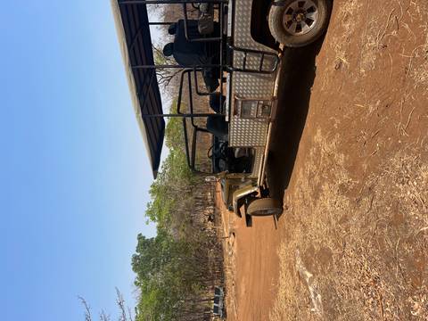 Open safari vehicle parked on a dry track in a woodland.