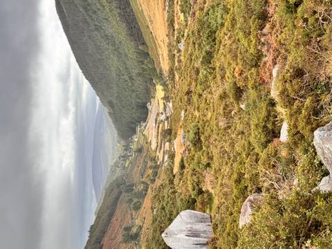       Valley with greenery and a distant view of mountains
  