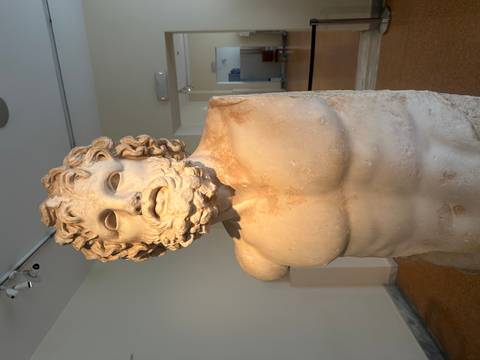       Statue bust in a museum setting
  