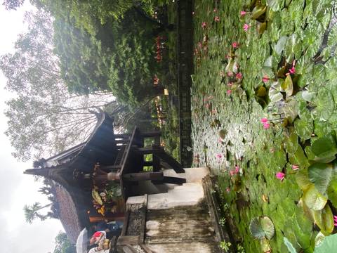 Temple with pond full of lotus flowers.