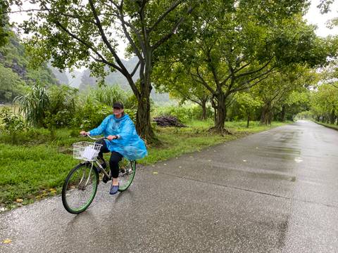 Person biking on a path through greenery.