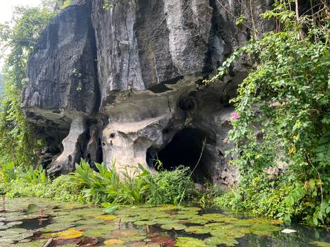 Entrance to a cave surrounded by greenery.