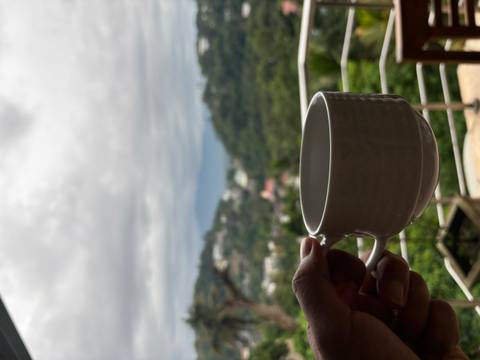      Person holding a cup with a scenic backdrop of hills.
  
