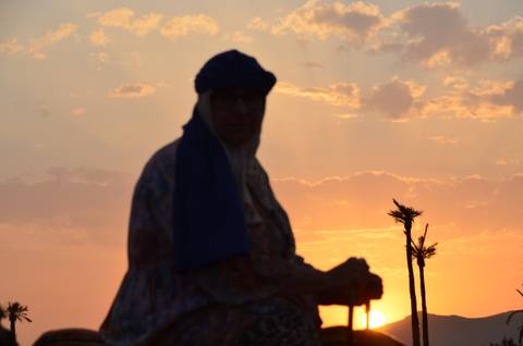 Silhouette of a person at sunset with palm trees.
