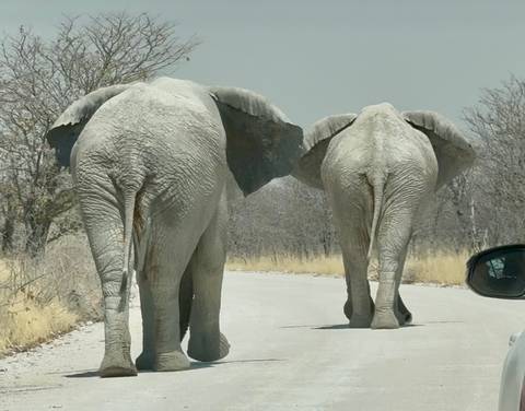       foto de reseña de cliente de Viaje con sello Namibia - Dunas, vida salvaje y maravillas (11 días) 
  