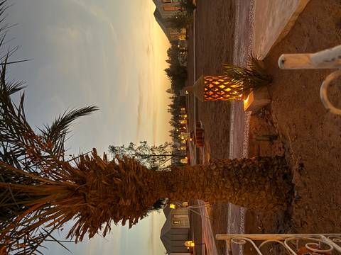       Lit lanterns and palm tree at sunset in a desert camp.
  