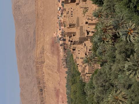       View of a historic mud-brick village surrounded by palm trees.
  