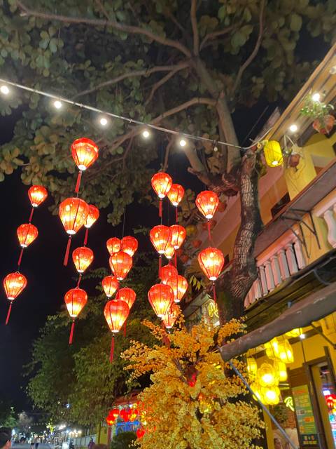       Red lanterns hanging in a night market setting
  