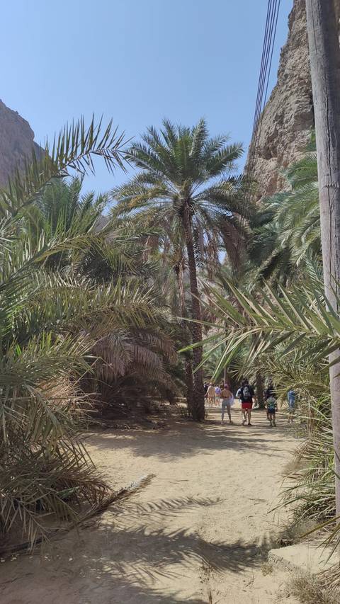       foto de reseña de cliente de Increíble Omán 
  