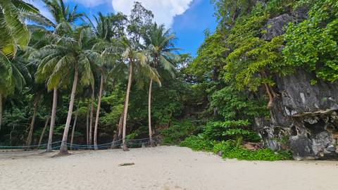       Secluded beach surrounded by palm trees and rocky cliffs.
  